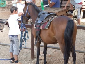 טיולי%20סוסים%20בכרמל%20,%20דלית%20אל%20כרמל